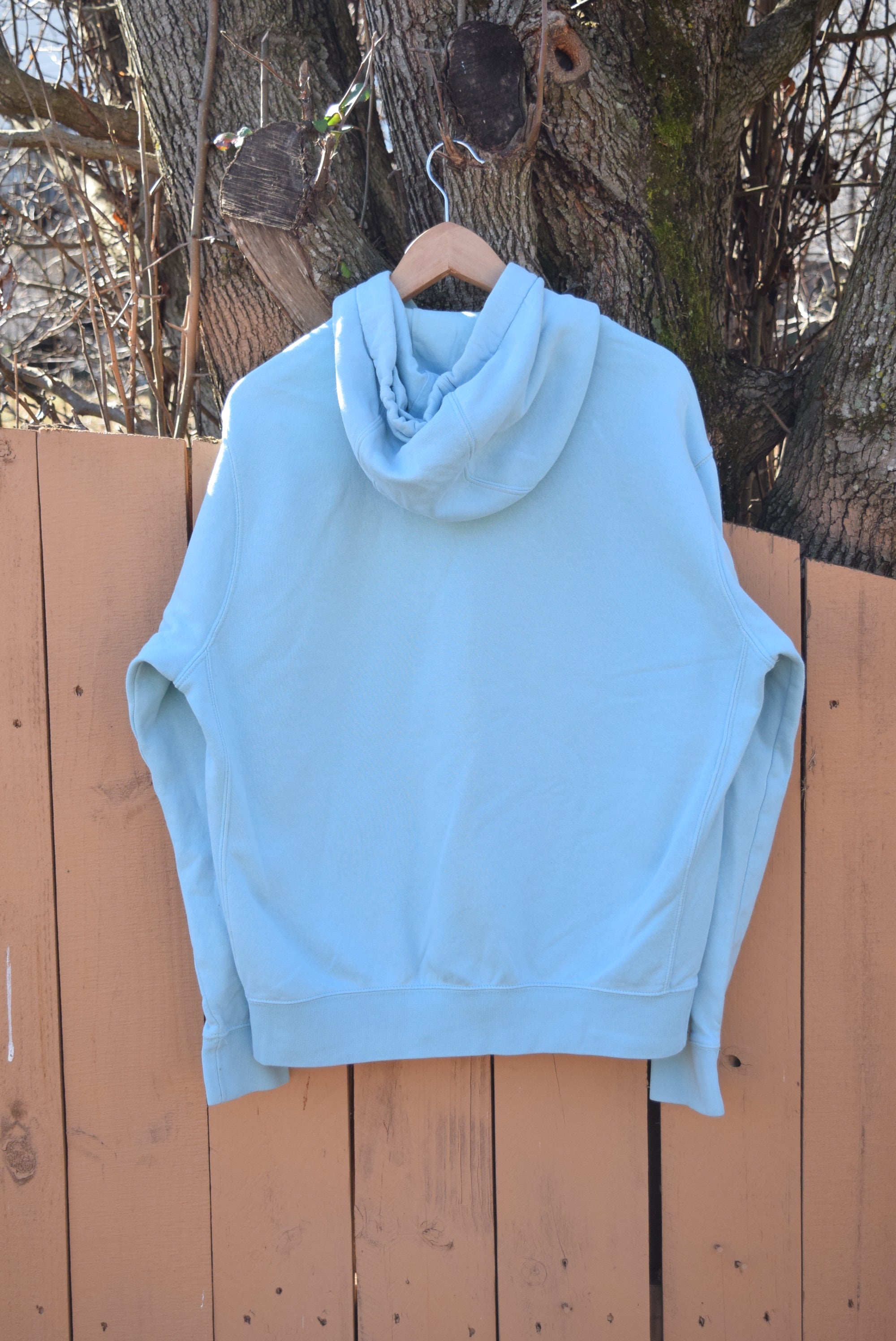 NIke Toucan Repeat Teal Hoodie (L)