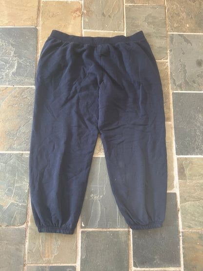 Wänelite 2 Navy Sweatpants (M)