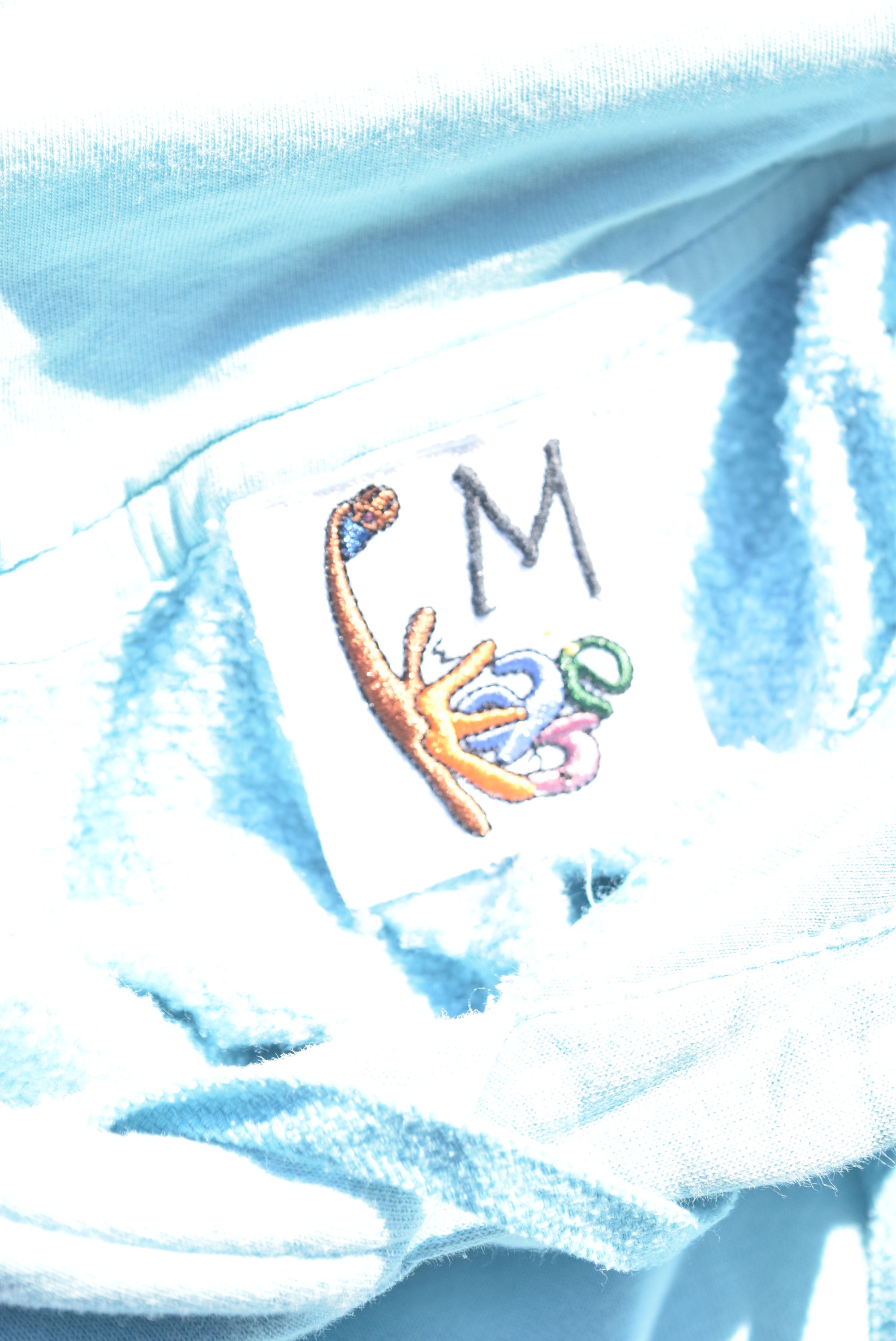 NIke Toucan Repeat Teal Hoodie (L)