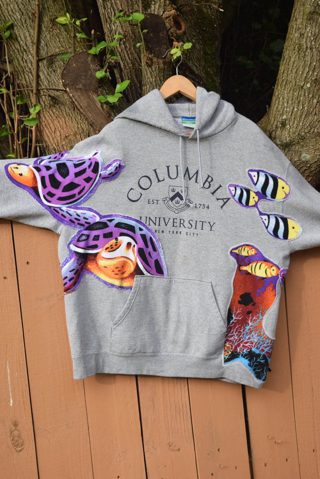 Aquatic Landscape See Through Hoodie