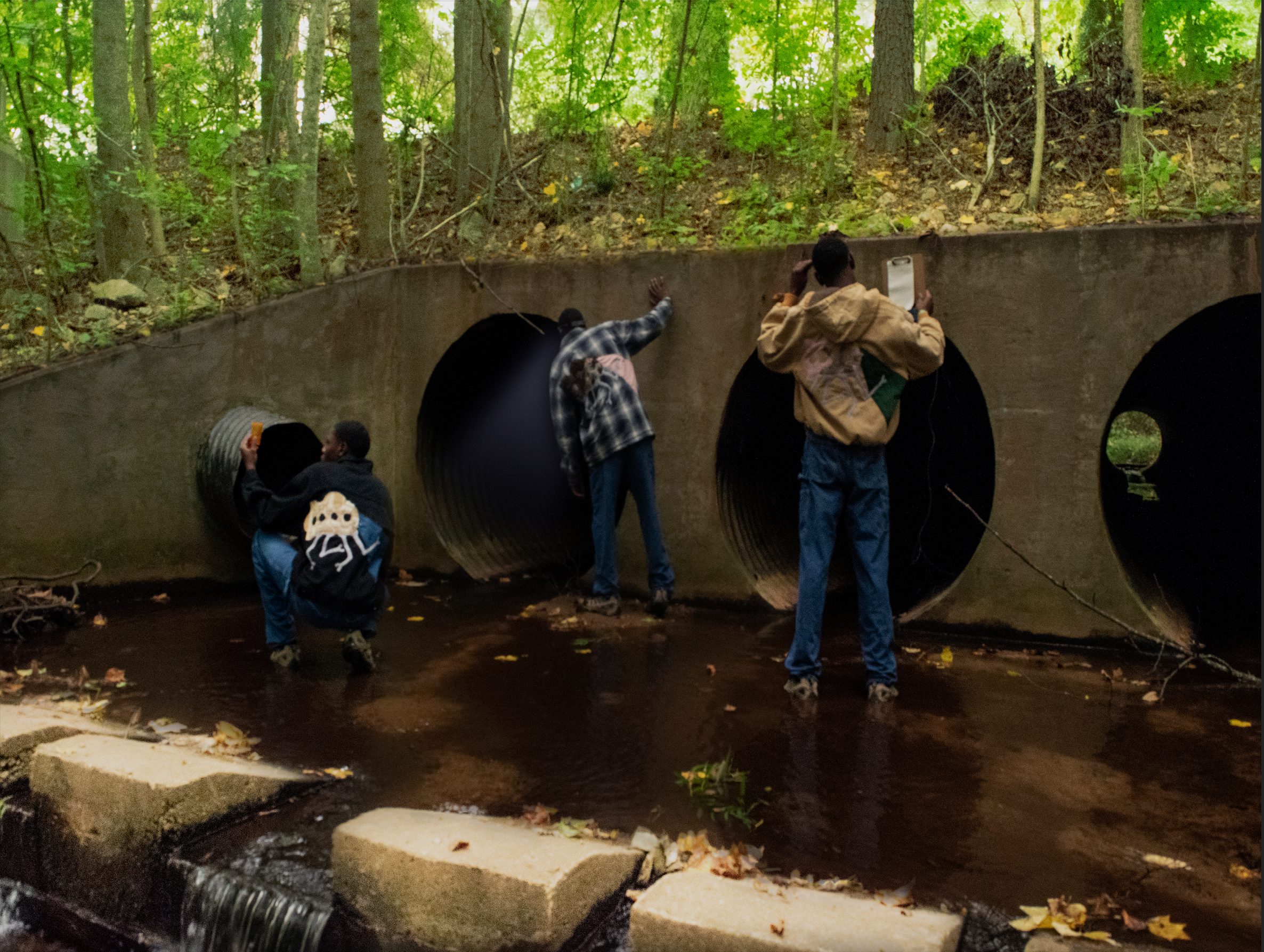 Computer Applications In Art