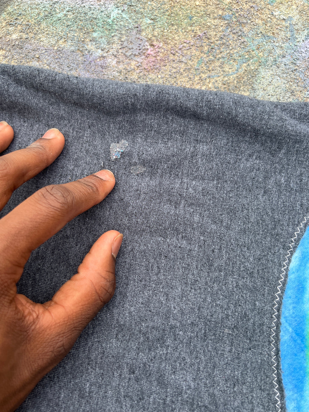 Bearded Iris See Through Zip Up Hoodie (XXL)