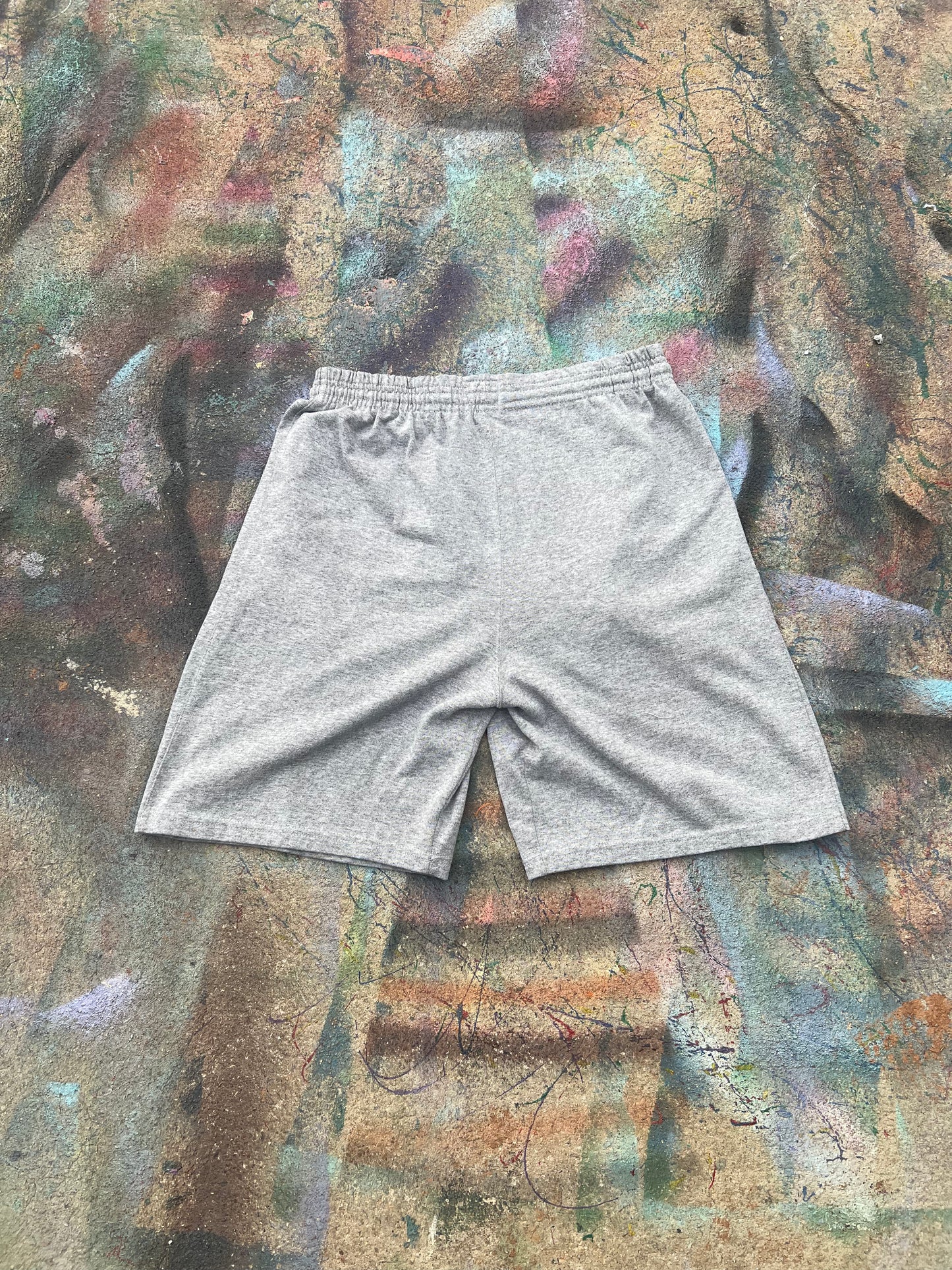Wäne Wear Shorts (Multicolor/Grey)- M