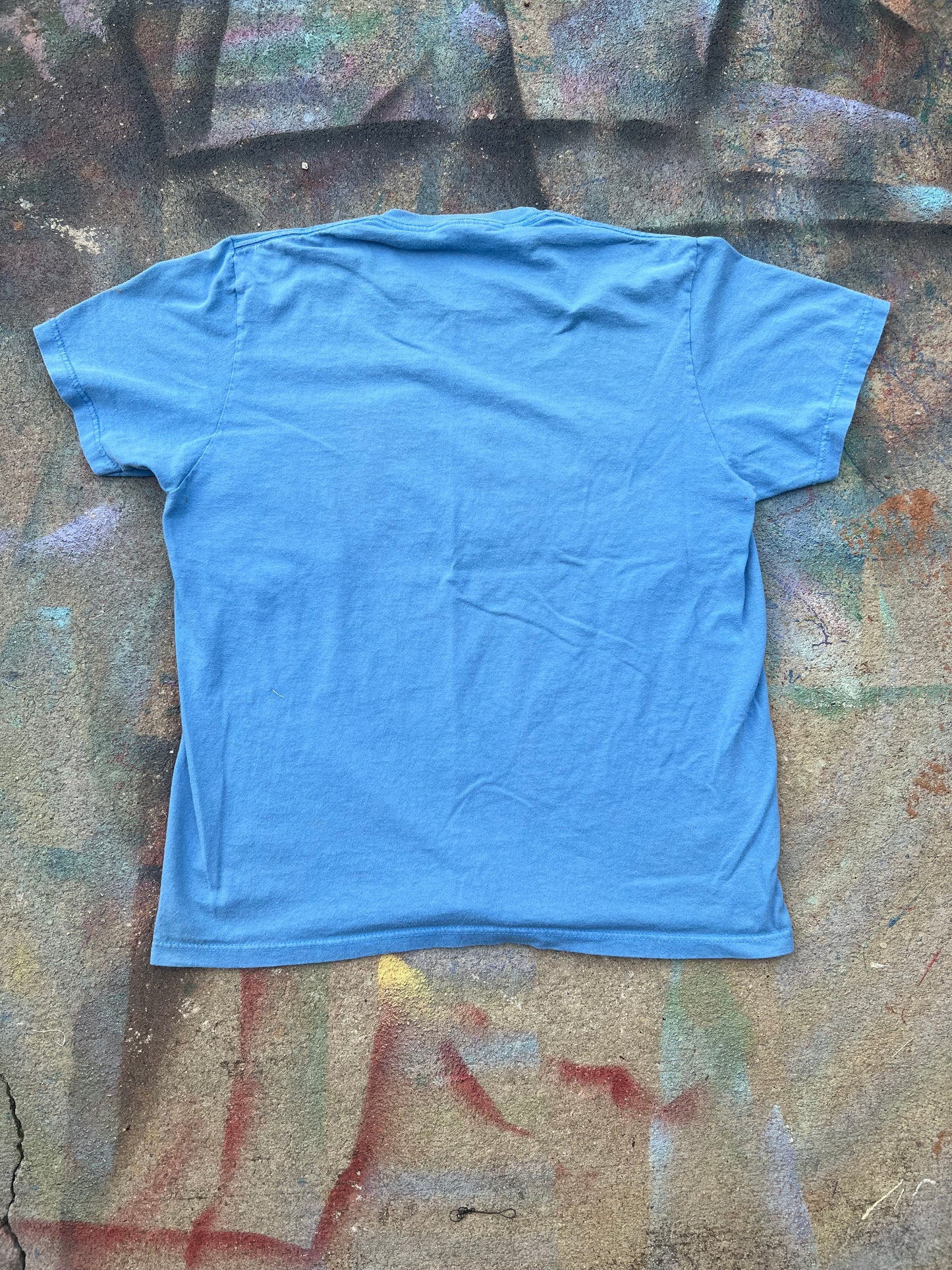 Wäne Wear T-Shirt (Multicolor/Baby Blue)- M