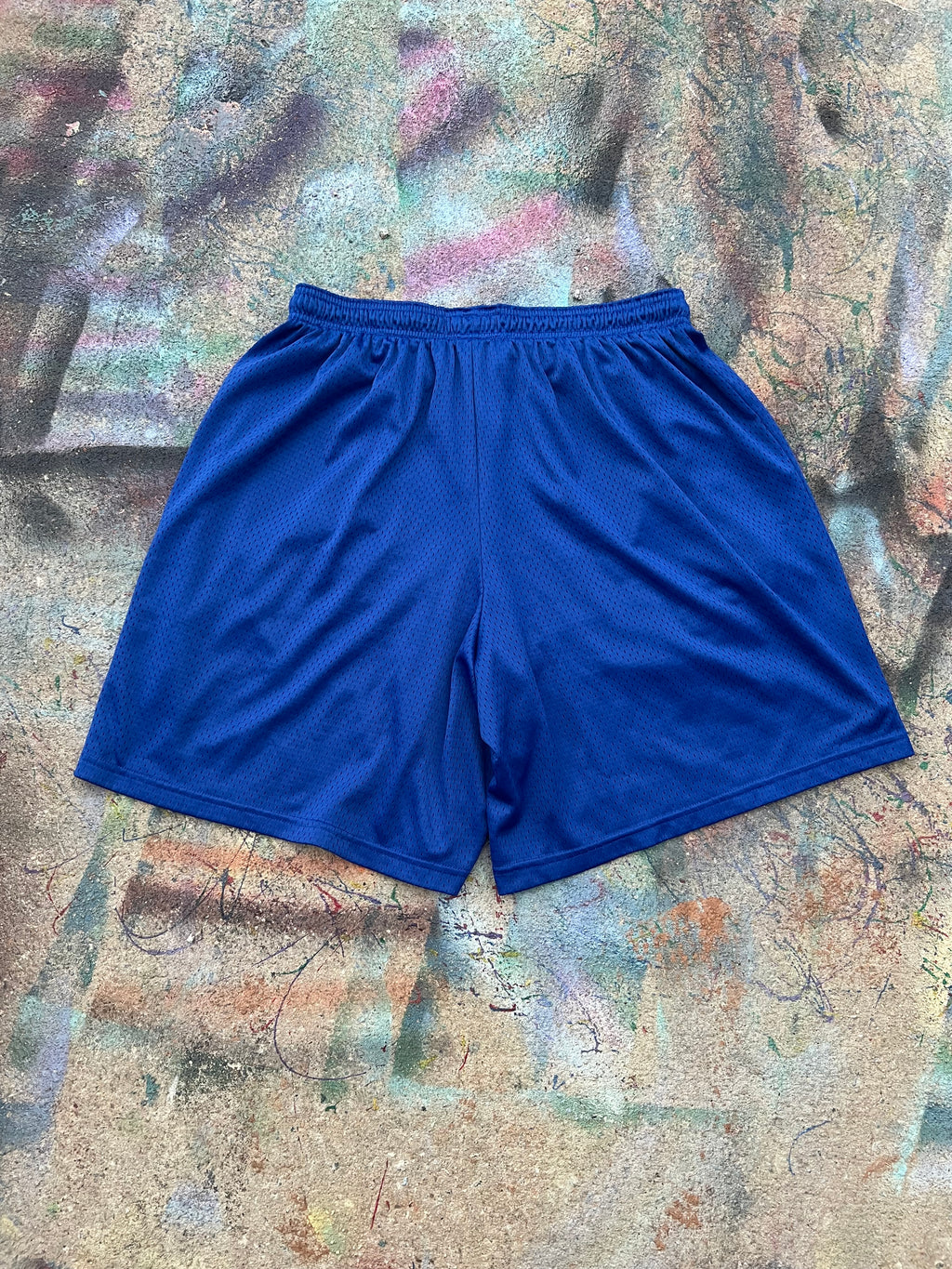 (LS) Wäne Wear Shorts (Multicolor/Blue)- L