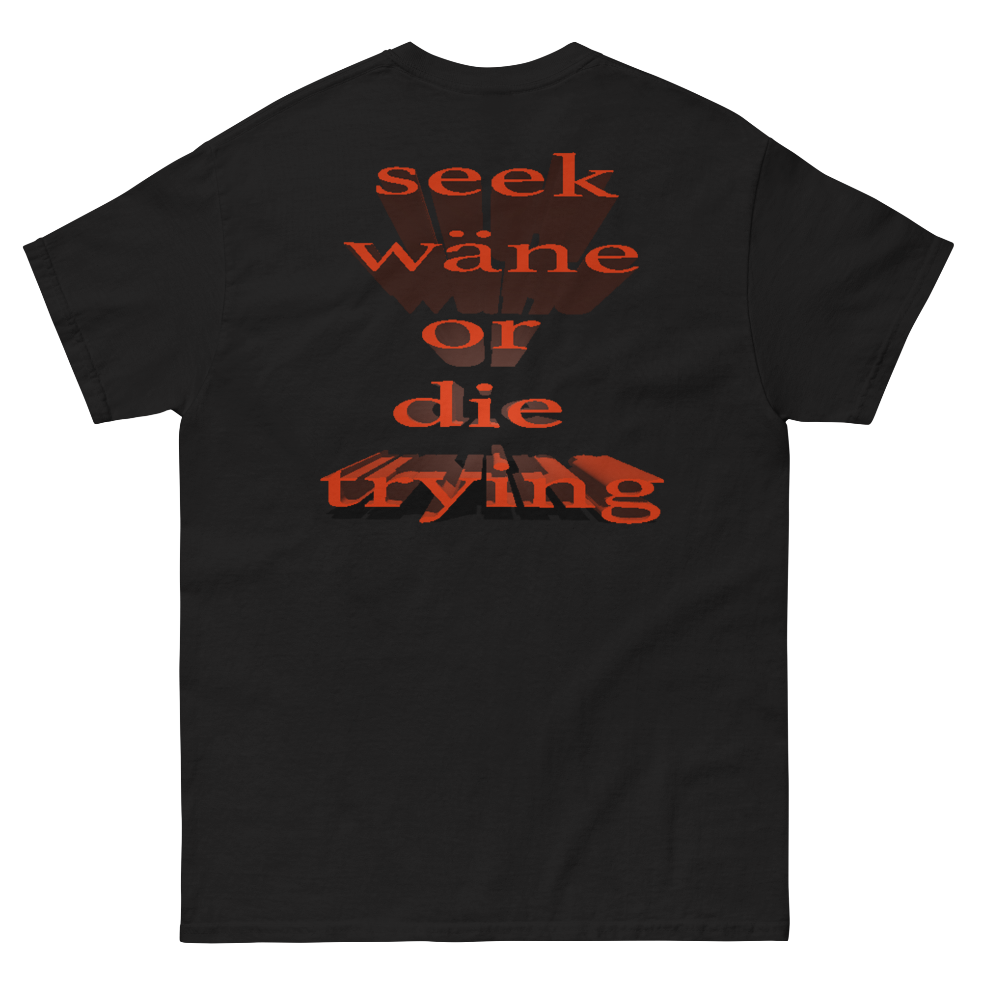 wäne "seek wäne or die trying" tee